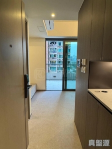 YOHO WEST 1期 3B座 - 28NTS – 香港北部都會區