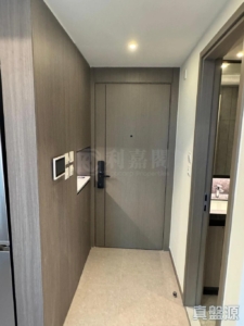 YOHO WEST 1期 3B座 - 28NTS – 香港北部都會區