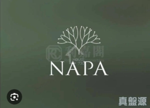 NAPA 3座 - 28NTS – 香港北部都會區