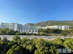 帝御 3期 帝御‧嵐天 6座 - 28NTS – 香港北部都會區