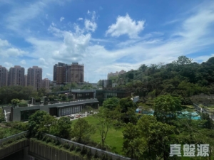 飛揚 2期 3座 - 28NTS – 香港北部都會區
