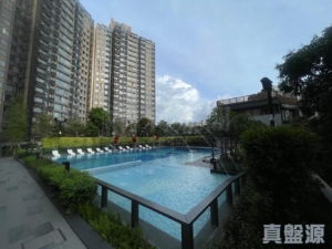飛揚 2期 3座 - 28NTS – 香港北部都會區