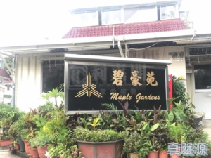 碧豪苑 2期 - 28NTS – 香港北部都會區