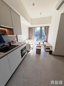 NOVO LAND 1A期 Elverum 2座 - 28NTS – 香港北部都會區