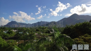 金閣豪園 9座 - 28NTS – 香港北部都會區