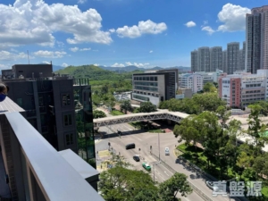 WETLAND SEASONS PARK 2期 5座 - 28NTS – 香港北部都會區