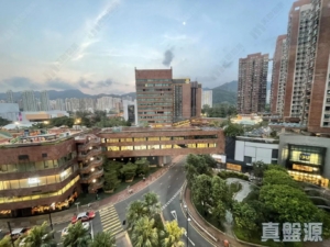 偉華中心 3座 - 28NTS – 香港北部都會區