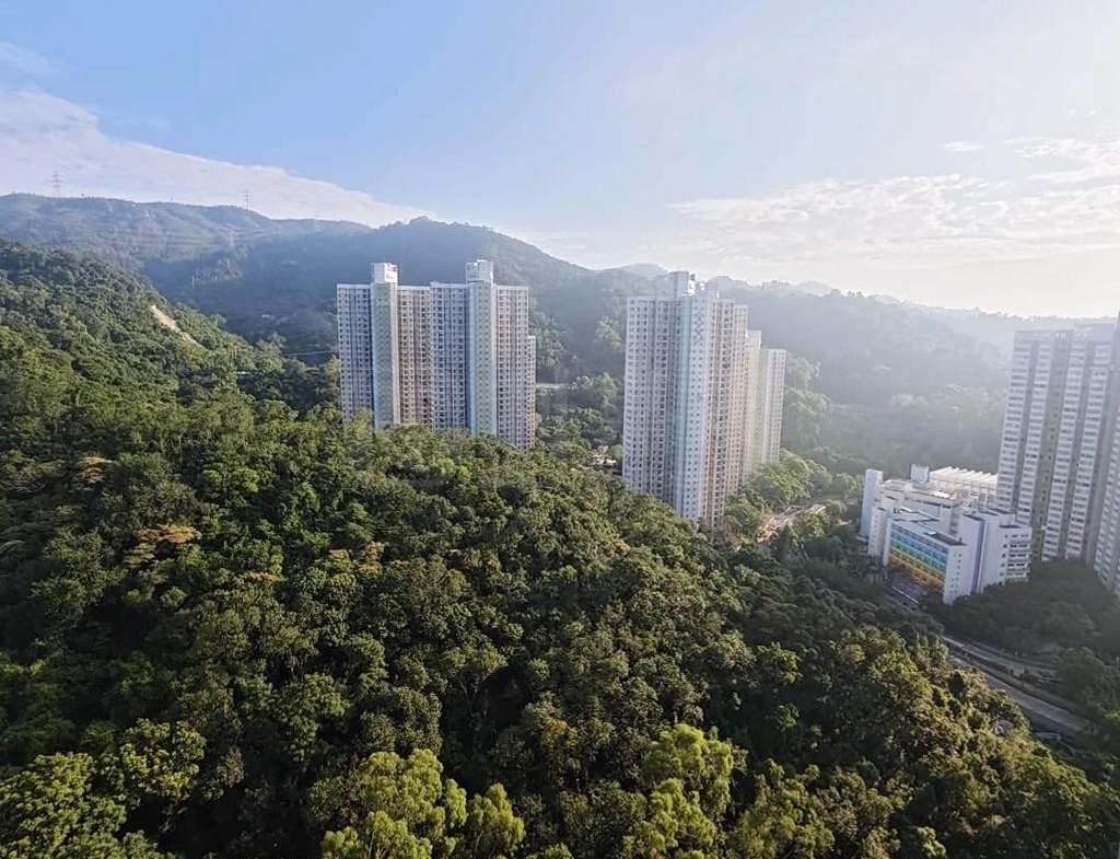 翠景花園 2座 - 28NTS – 香港北部都會區