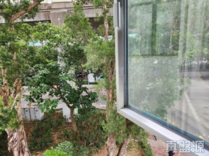 金山樓 - 28NTS – 香港北部都會區