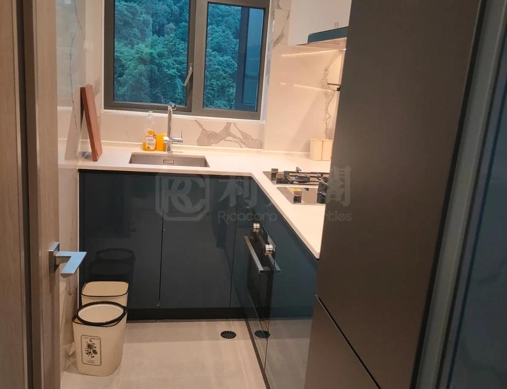 SILICON HILL UNIVERSITY HILL 2B期 優景閣 第6座 - 28NTS – 香港北部都會區