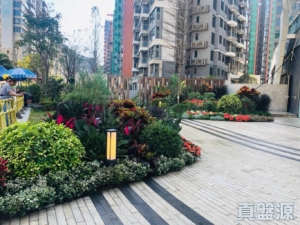 嘉熙 8座 - 28NTS – 香港北部都會區