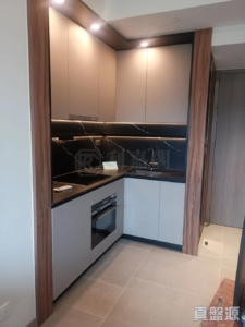 SILICON HILL UNIVERSITY HILL 2A期 漾景閣 第5B座 - 28NTS – 香港北部都會區