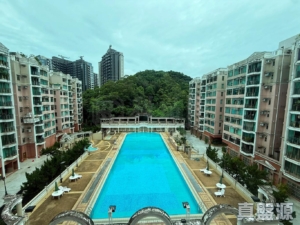 新峰花園 1期 12座 - 28NTS – 香港北部都會區