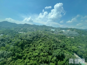 浪翠園 4期 12座 - 28NTS – 香港北部都會區