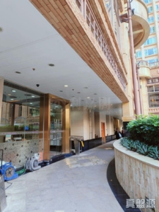 雍雅軒 1座 - 28NTS – 香港北部都會區