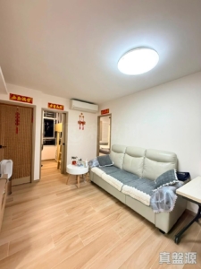 青富苑 B座 - 28NTS – 香港北部都會區
