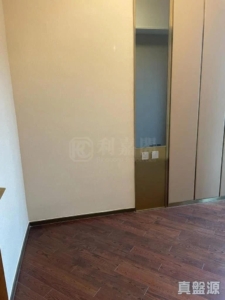 緹岸 1期 1A座 - 28NTS – 香港北部都會區