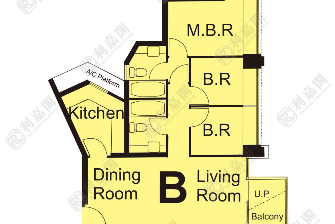 178845545258585_2000_ricacorp.png