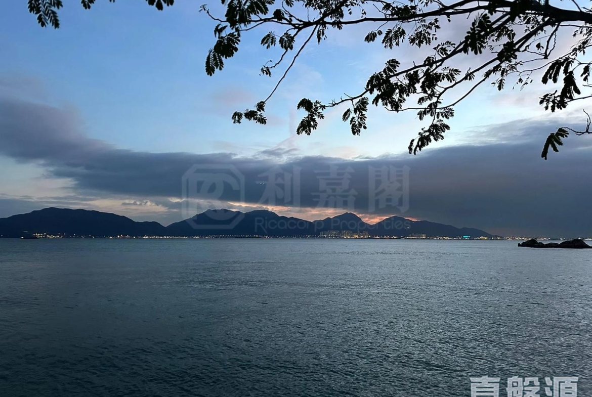 龍珠島別墅 東座 - 28NTS – 香港北部都會區