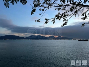 龍珠島別墅 東座 - 28NTS – 香港北部都會區