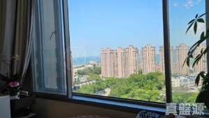飛揚 2期 5座 - 28NTS – 香港北部都會區