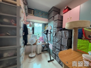 曉峰園 1座 - 28NTS – 香港北部都會區