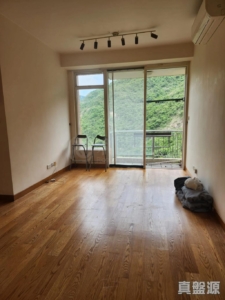 晉名峰 B座 - 28NTS – 香港北部都會區