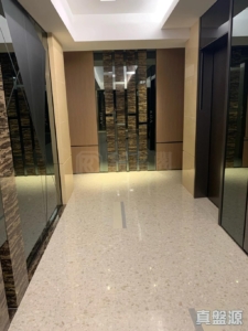 GRAND YOHO 2期 3座 - 28NTS – 香港北部都會區