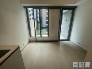 黃金海灣 1期 意嵐 5B座 - 28NTS – 香港北部都會區