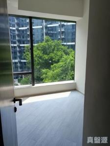 帝御 3期 帝御‧嵐天 6座 - 28NTS – 香港北部都會區