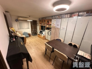 三棟屋村 - 28NTS – 香港北部都會區