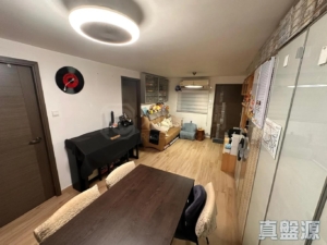 三棟屋村 - 28NTS – 香港北部都會區