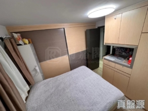 三棟屋村 - 28NTS – 香港北部都會區