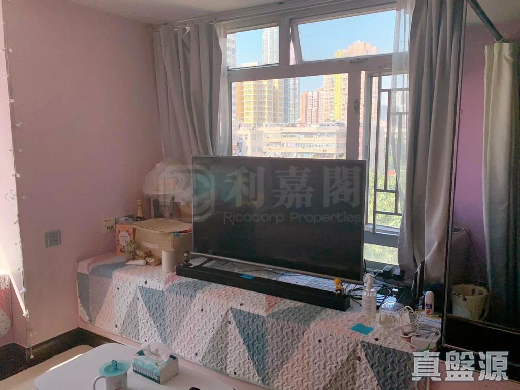 好旺洋樓 - 28NTS – 香港北部都會區