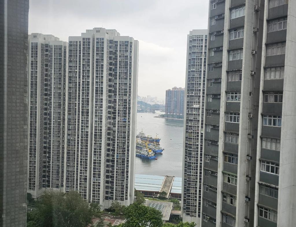 翠濤閣 3座 - 28NTS – 香港北部都會區
