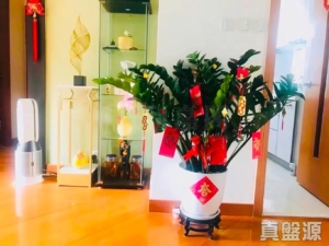 藍天海岸 1期 2座 - 28NTS – 香港北部都會區