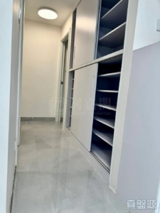 涌美老屋村 49號 - 28NTS – 香港北部都會區