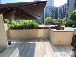 WETLAND SEASONS PARK 3期 1座 - 28NTS – 香港北部都會區
