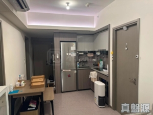 YOHO WEST 1期 3A座 - 28NTS – 香港北部都會區