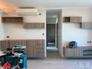 藍天海岸 1期 1座 - 28NTS – 香港北部都會區