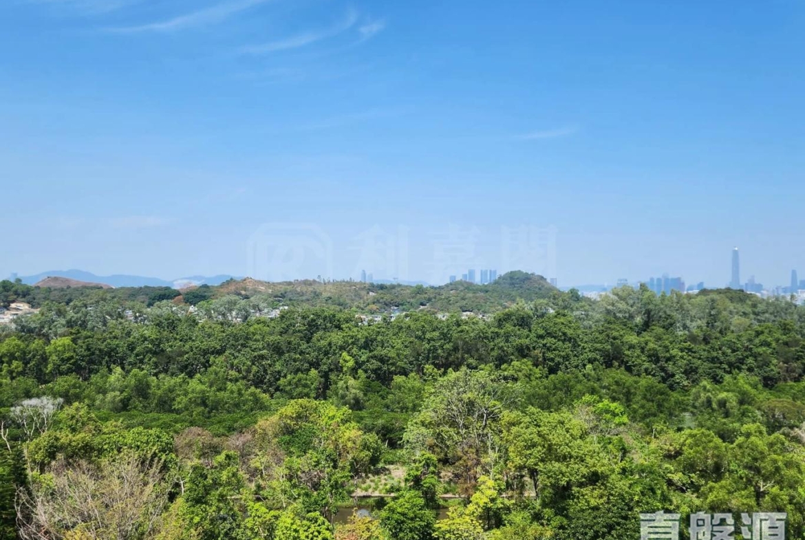 WETLAND SEASONS BAY 1期 2A座 - 28NTS – 香港北部都會區