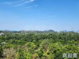 WETLAND SEASONS BAY 1期 2A座 - 28NTS – 香港北部都會區