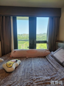 WETLAND SEASONS BAY 1期 2A座 - 28NTS – 香港北部都會區
