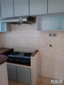 好順景大廈 2座 (B座) - 28NTS – 香港北部都會區