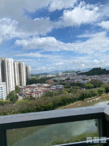 朗屏8號 3座 - 28NTS – 香港北部都會區