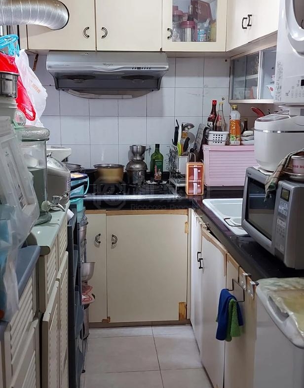 盈豐園 1座 - 28NTS – 香港北部都會區