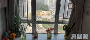 盈豐園 1座 - 28NTS – 香港北部都會區