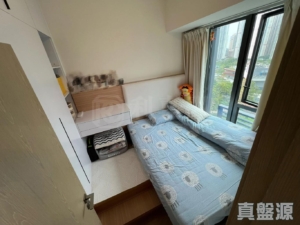 WETLAND SEASONS PARK 2期 3座 - 28NTS – 香港北部都會區