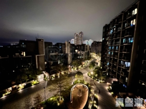WETLAND SEASONS BAY 1期 2B座 - 28NTS – 香港北部都會區