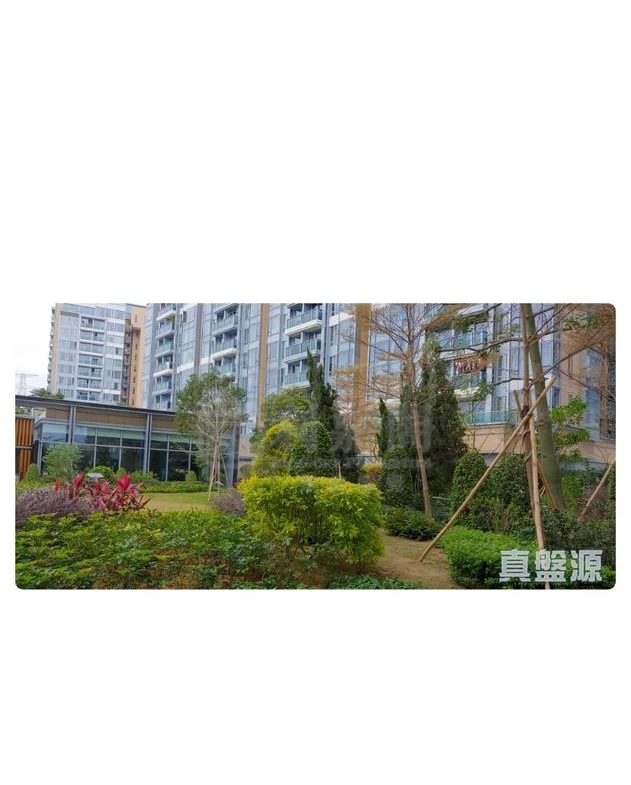 峻巒 1C期 PARK YOHO SICILIA 1B座 - 28NTS – 香港北部都會區